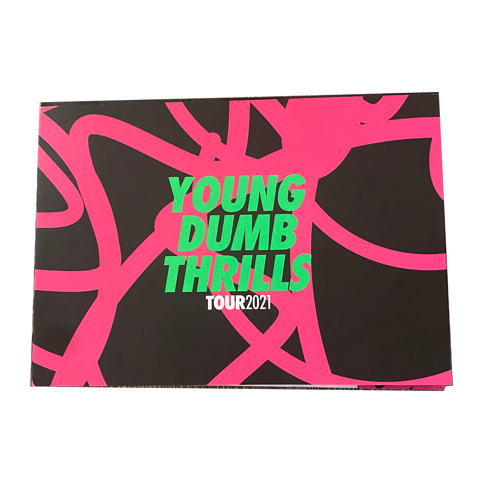Young Dumb Thrills Tour Book