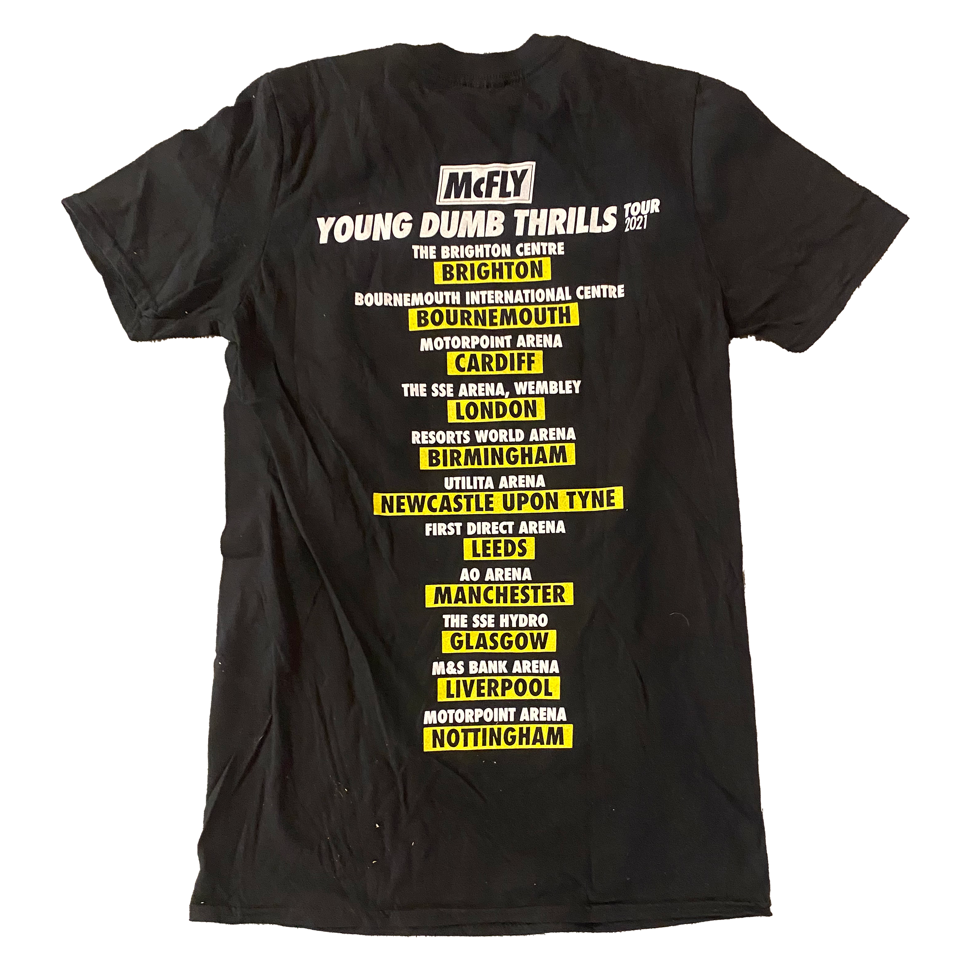 Young Dumb Thrills Robot Bear Tour Tee